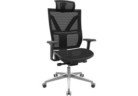 Cadeira_giratória_darix_75000_com_apoio_de_cabeça_braço_3D_shift_base_alumínio_autocompensador